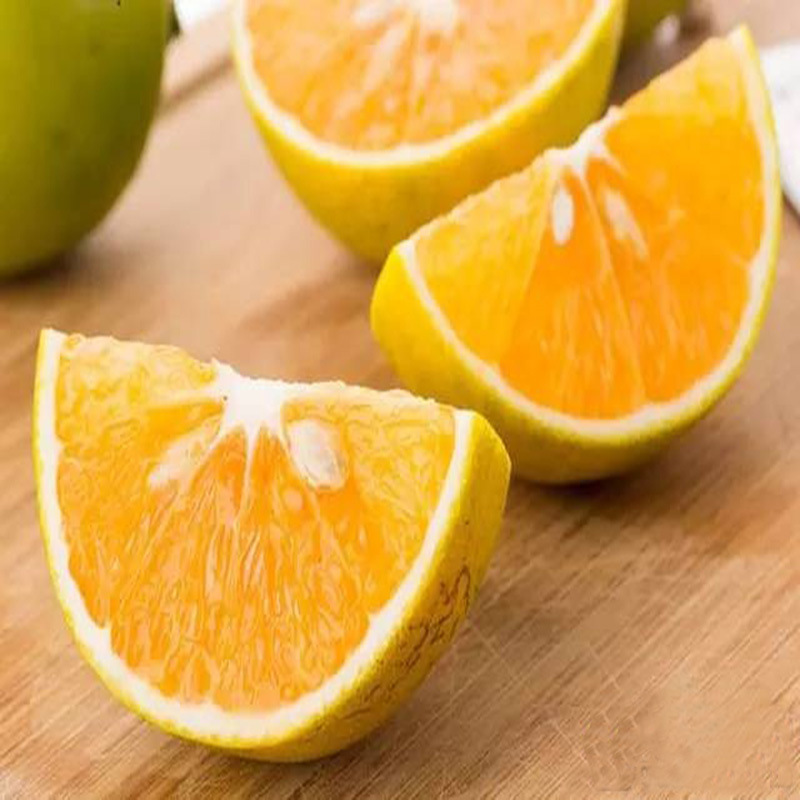 【【果园现摘】海南澄迈福橙 中国十大名橙之