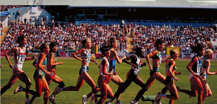 TB2lTzslFXXXXa4XpXXXXXXXXXX_!!