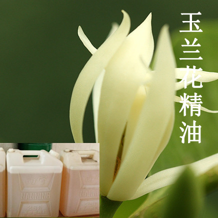 白兰花精油厂家批发 白玉兰精油单方精油原
