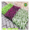 simulation Eucalyptus turf simulation Money Lawn wholesale turf Plastic Plant Wall decorate Scenery Lawn