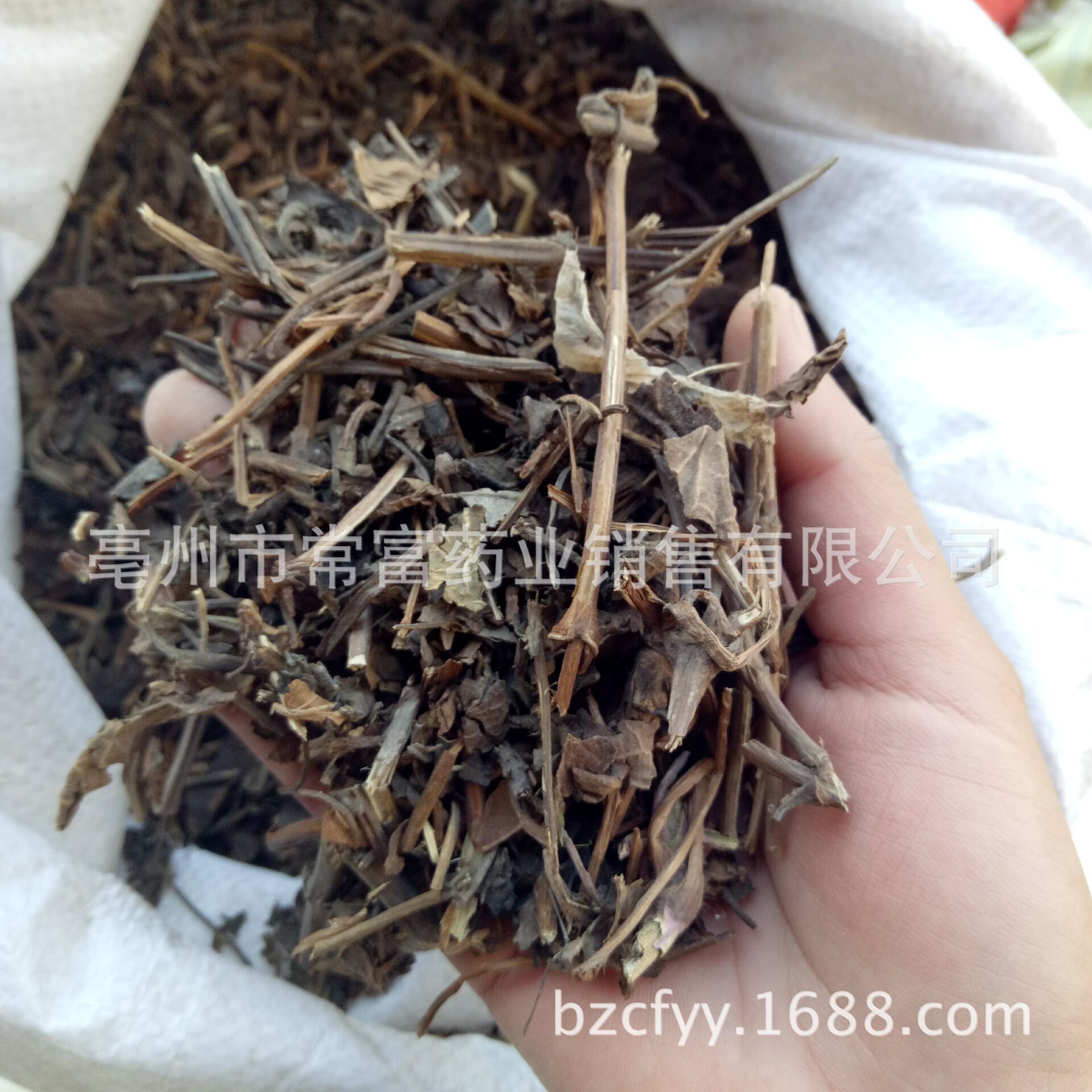 Sage Fine Powder Shu Wei Cao Culinary Herbal Powder 500g key features