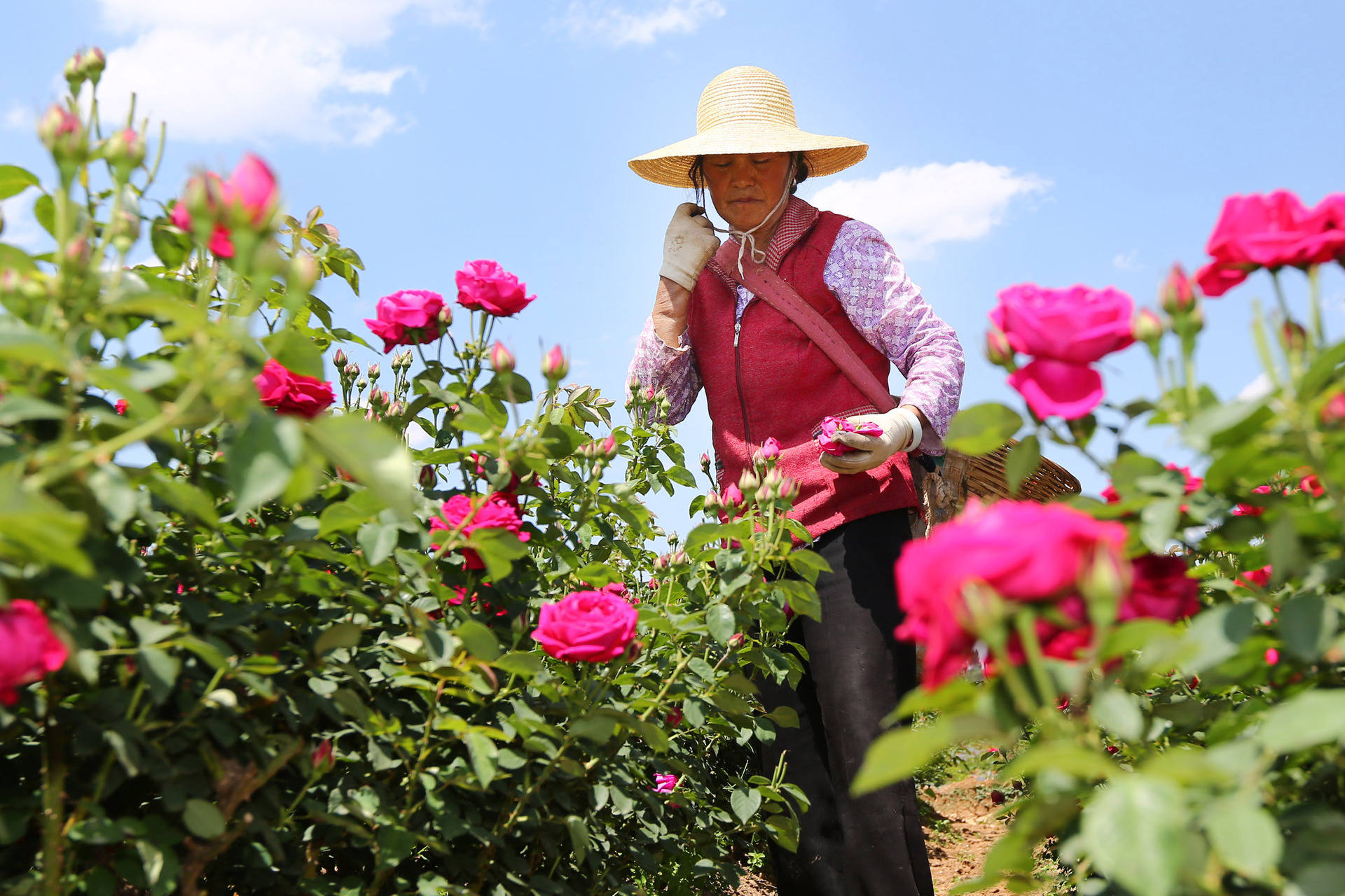 181934jq77qrr038d2gw7w