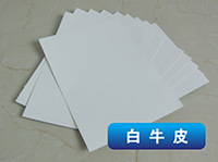 白牛皮