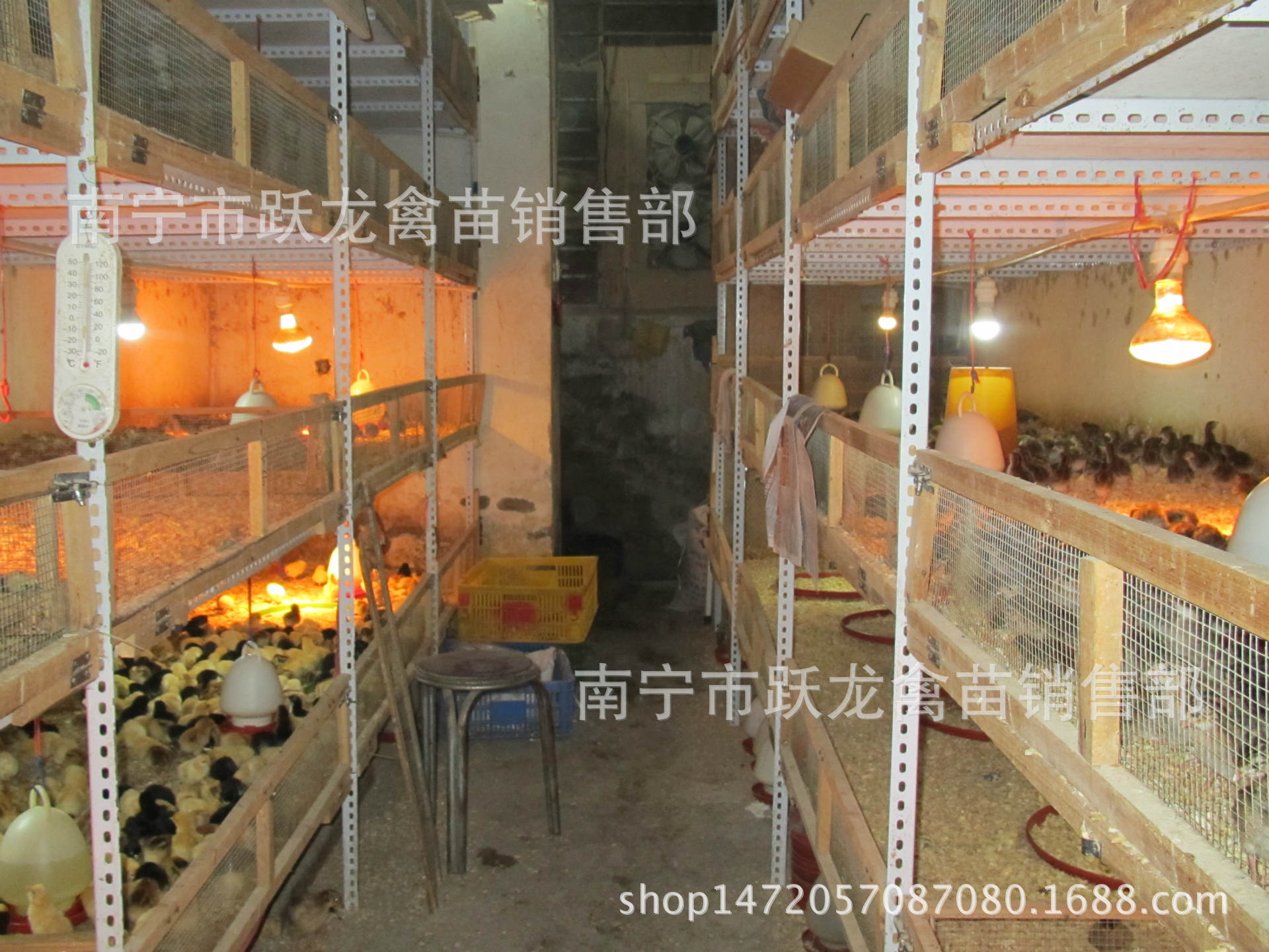 跃龙保温室