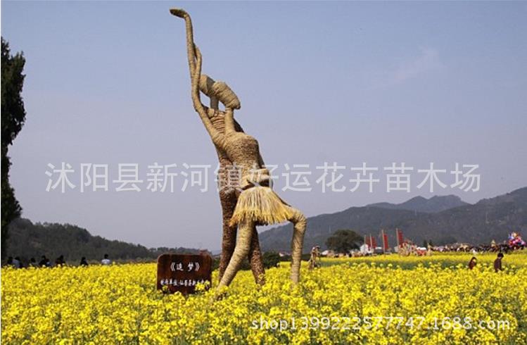 360截圖20160503101434620