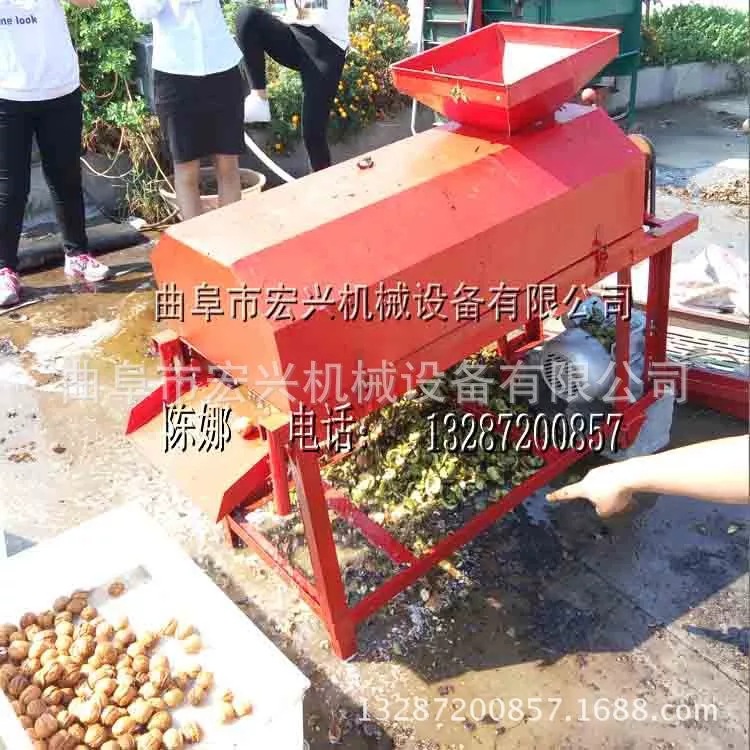 核桃去皮清洗设备 毛辊清洗机 专业去皮清洗机械