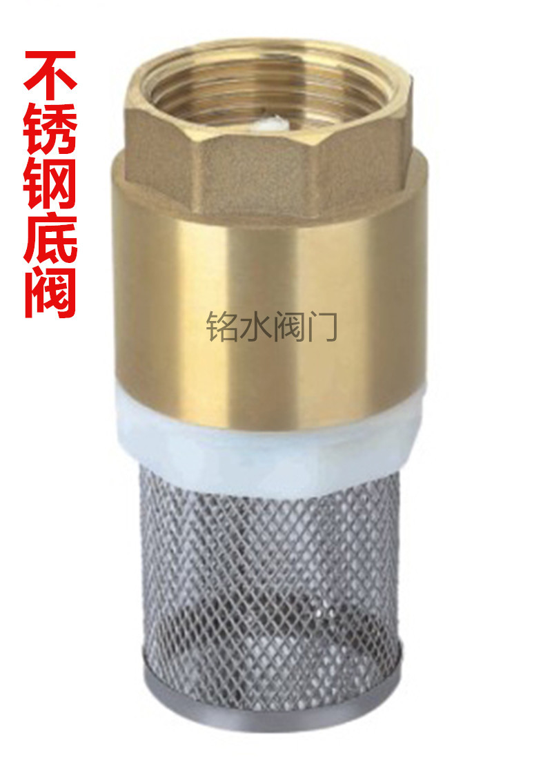 带网止回阀