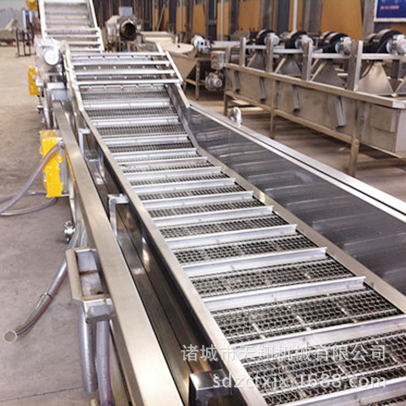 天翔供应荸荠清洗机蔬菜水果清洗机 果蔬清洗机售后保障