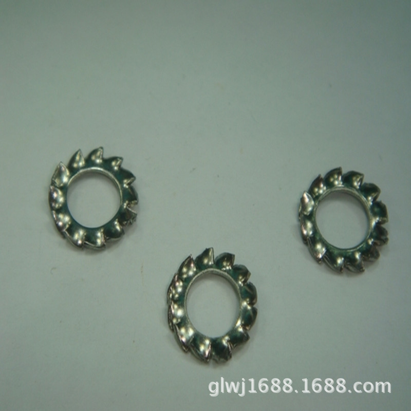 供应菊花垫圈M3  M4 M5 M6 不锈钢外齿垫圈齿形垫圈