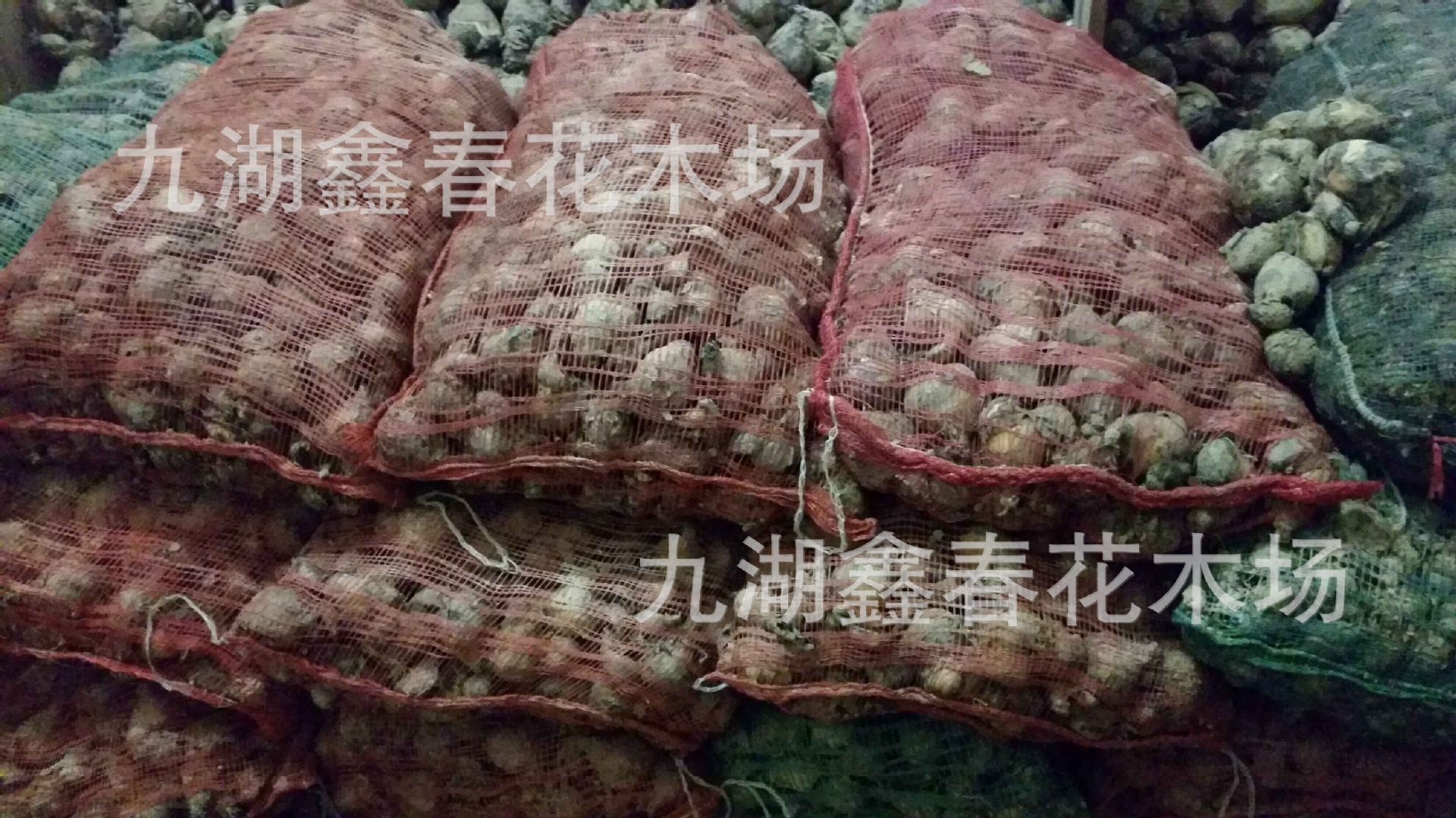 QQ图片20161115100552