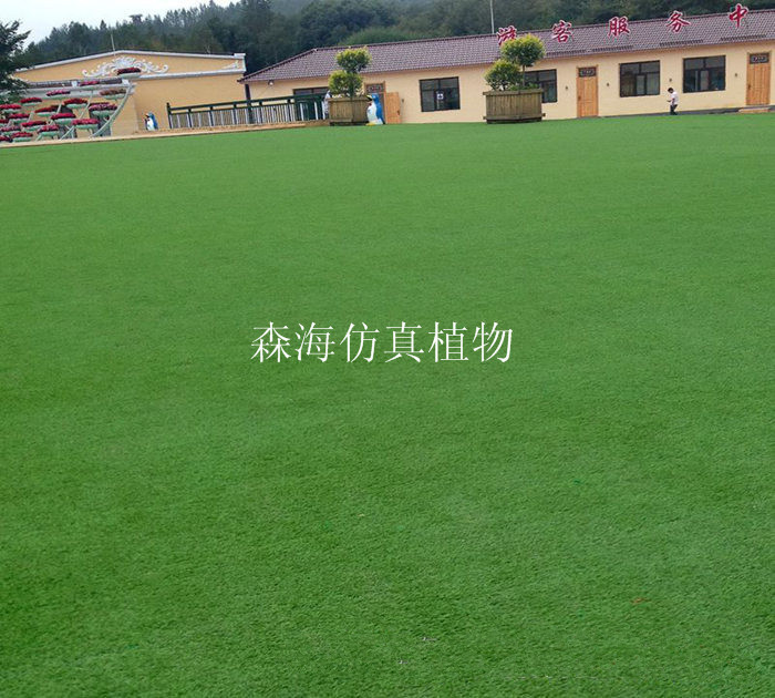 TB2myx8jpXXXXaeXpXXXXXXXXXX_!!