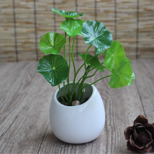 Creative European-style ceramic wall-mounted flower pots for gardening succulents hanging pots semi-circular wall-mounted pothos ceramic pots