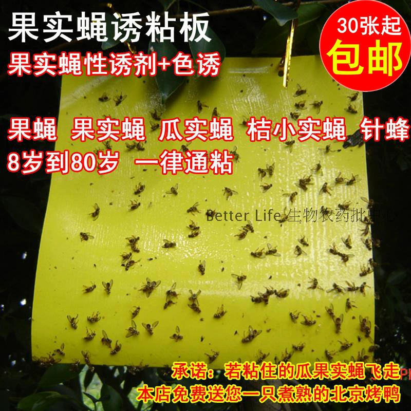 Ловушка для фруктовых мух универсальный вентилятор для мух приманка для фруктовых мух липкая доска фруктовая муха Дыня убийство фруктовой мухи спрей фруктовая муха стикер