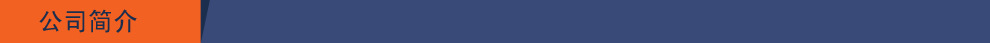 蓝色-公司简介A 拷贝