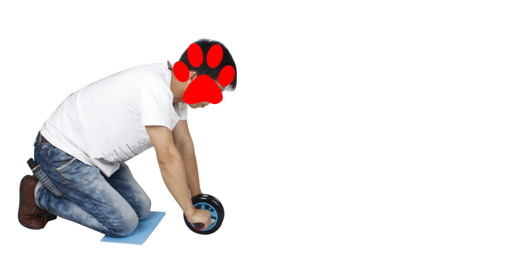 T2SxYsXjJXXXXXXXXX_!!801447428