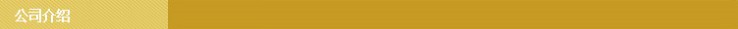 公司介绍