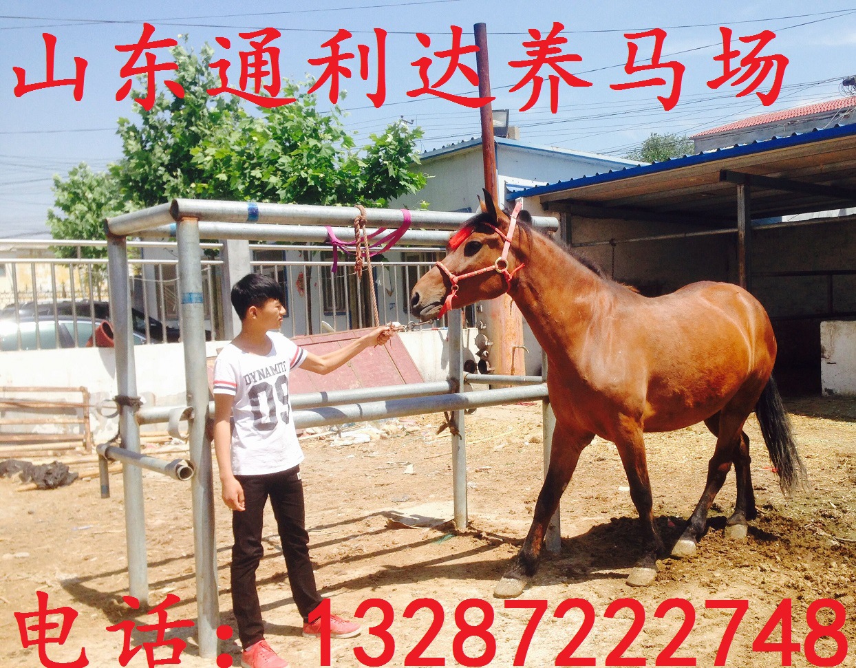 QQ图片20160521112828