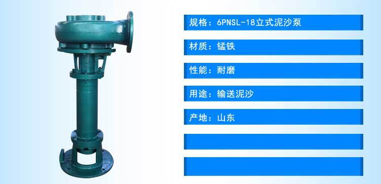 6PNSL-18立式泥沙泵_03