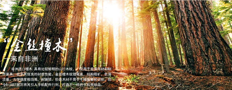 R-Just Light Slim Timber Aluminum Metal Wood Bumper Case Cover for Apple iPhone 5S/5/SE