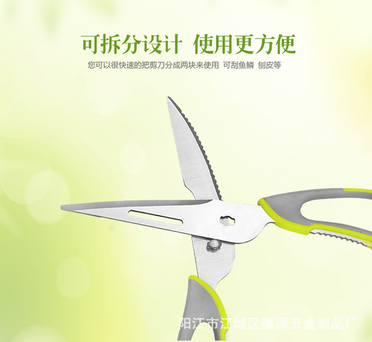 2816267649_2072796055