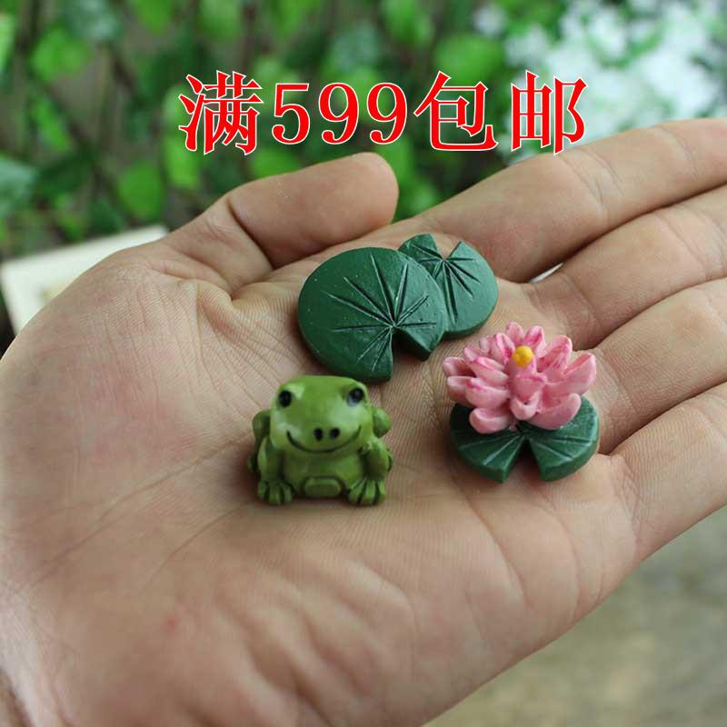 Suculento paisaje suculento micro paisaje decoración creativa decoración DIY material suculenta decoración conjunto de tres piezas