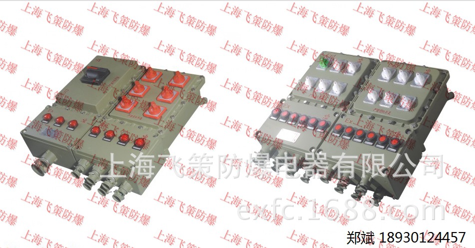 BXD-D防爆动力配电箱(动力检修) 上海飞策防爆