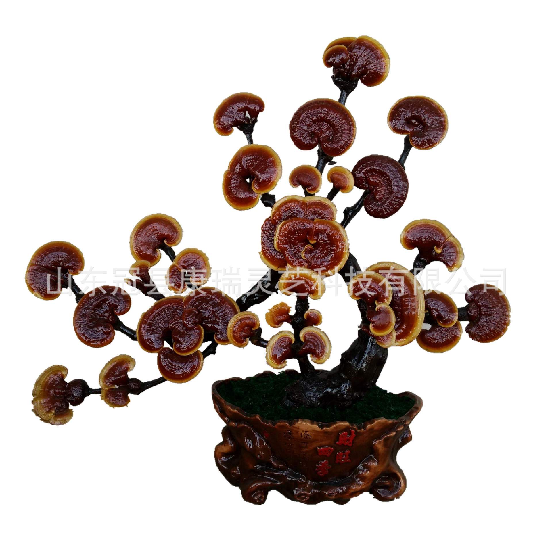 山东灵芝盆景 吉祥如意 灵芝工艺品摆件 冠县灵芝盆栽造型多-阿里巴巴