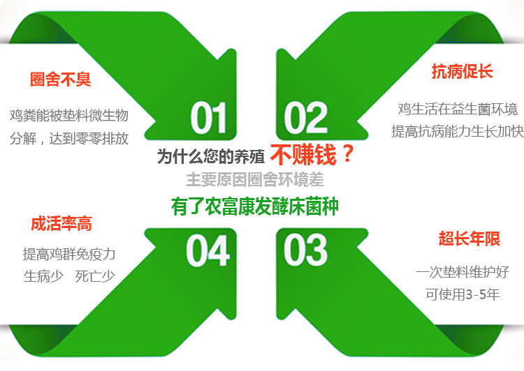 发酵床养鸡