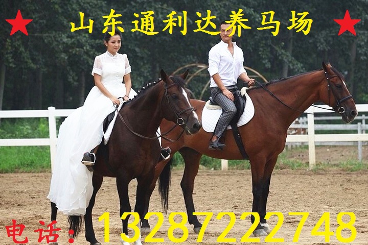 96NR701D00AJ0003 (1)