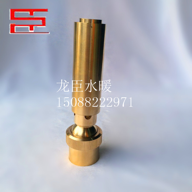 承接各种2寸掺气喷头 加气喷头 玉柱喷头 摇摆强冷喷泉喷头