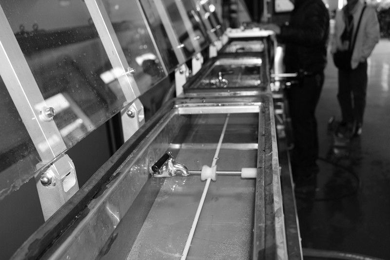 华希直供  50气管插管挤出机主机 欢迎订购