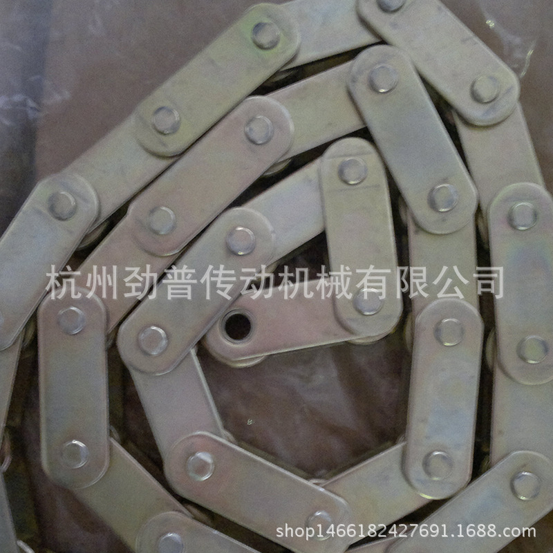 专业生产大节距非标滚子链 精密非标节距P100 链条 大滚子输送链