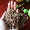 Food brown flaxseed flax seeds Vacuum packaging a piece of five pounds of free shipping