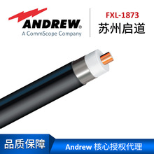 Andrew X| FXL-1873