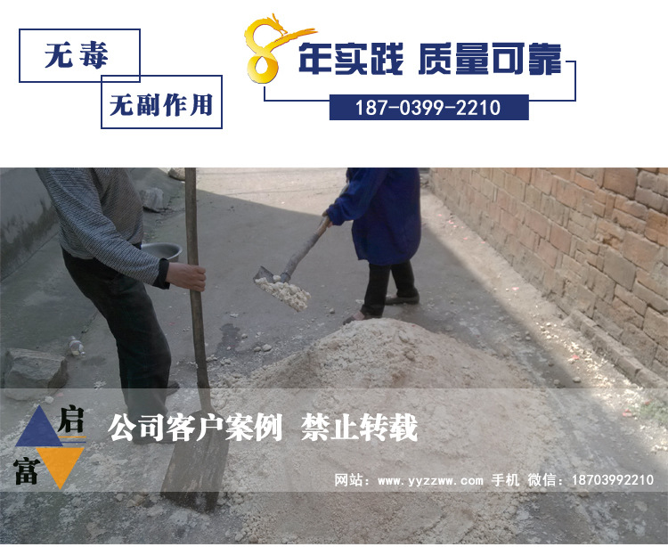 豆渣喂猪方法