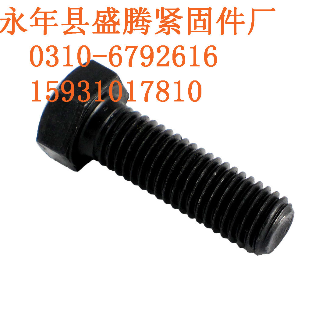 河北特大螺丝厂家现货供应优质8.8级六角螺栓 10.9级高强螺栓