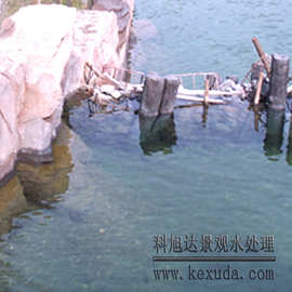 景观水处理方法,花园鱼池水处理江苏东台200吨别墅 水处理
