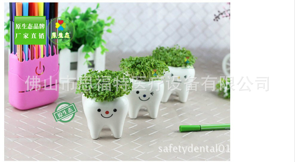 SOR-106 超萌小牙齒