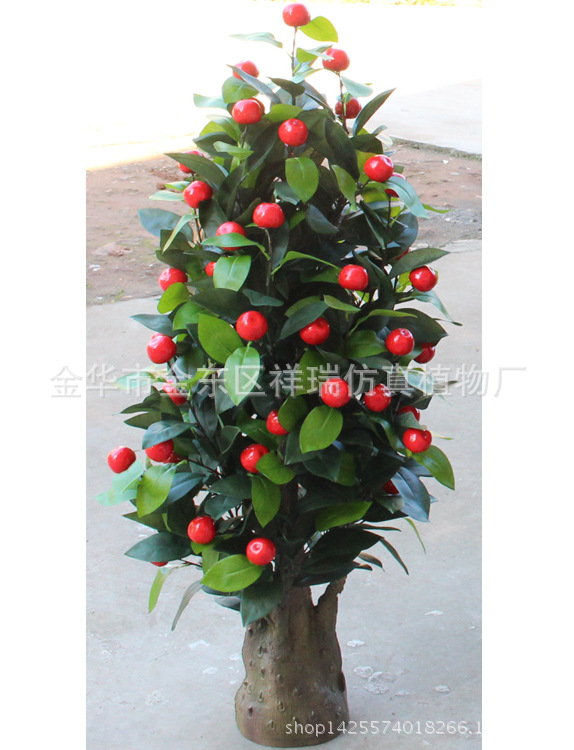 XRS-135 塔型五叉苹果树(小)