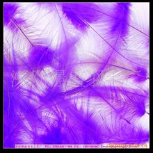 ��ë Ұ�u��ë ��ȸë  ���u��ë���N��ë��ˇƷ���I�S�����a