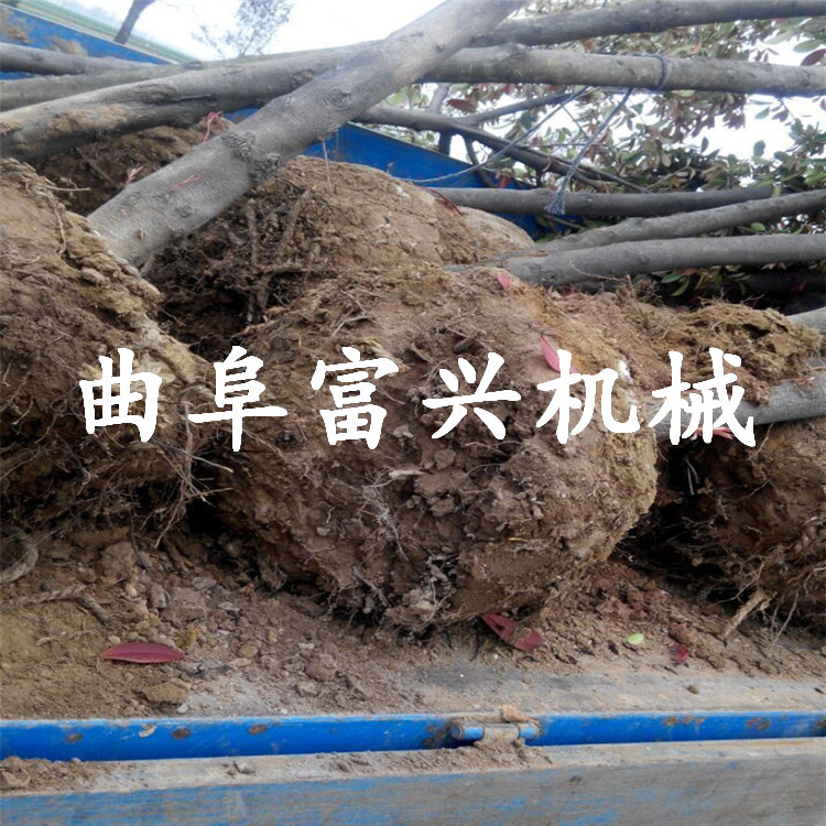 手持式汽油移栽机 手提式苗木断根机