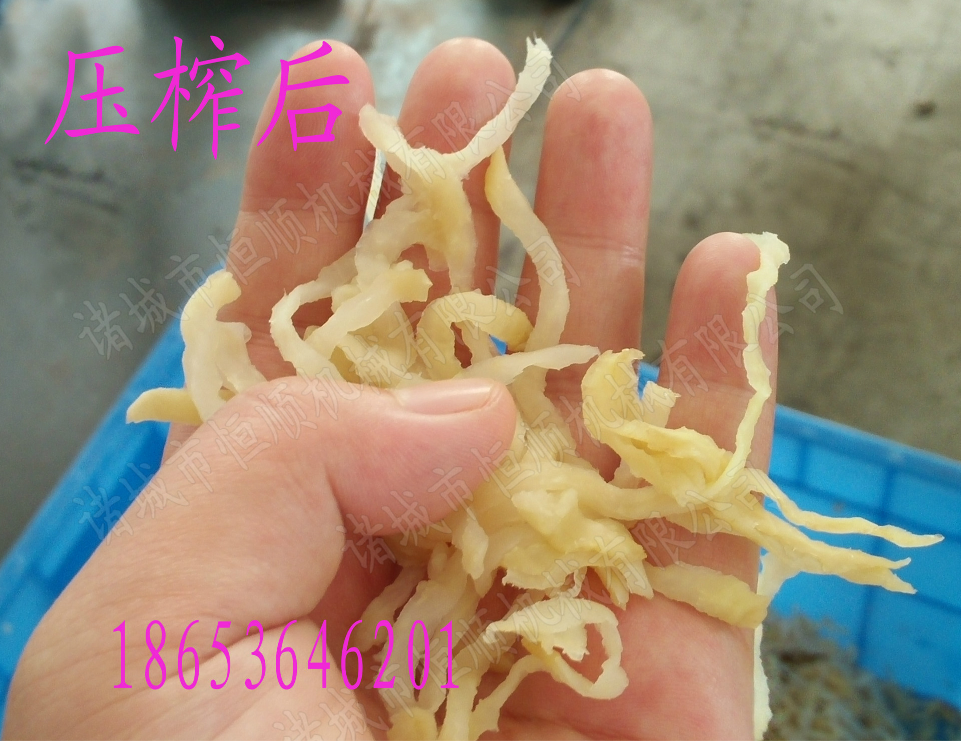 腌蘿卜壓榨機(jī)3