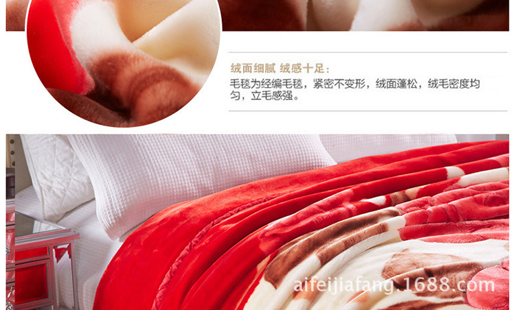 拉舍爾毛毯_懶人圖_大花_12