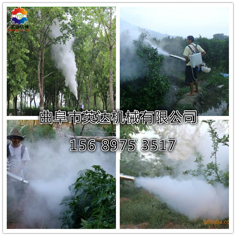 2965587773_1146654232_meitu_8