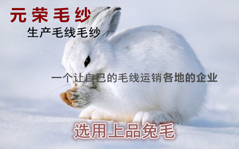 2472862148_1435172751_副本_副本