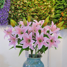 香水百合 香水百合品牌 图片 价格 香水百合批发 阿里巴巴