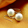 South Korea deep Hainan ocean earring earrings ear hook earrings women's earrings issued approval