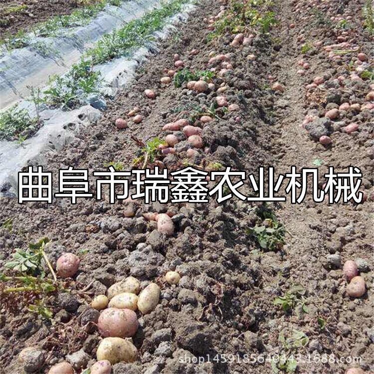 手扶车带动的收获机 收获机厂家 新款二合一型马铃薯收获机