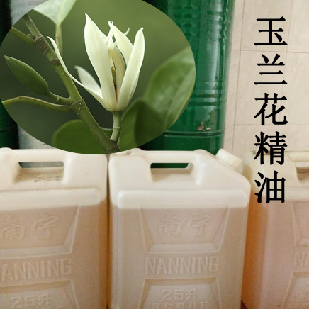 精油厂家批发 白玉兰精油 单方精油原 白兰花精油
