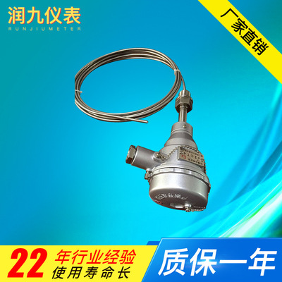 Recommend Zhenjiang Manufactor supply Assembly Armored Platinum resistance Thermal resistance wholesale